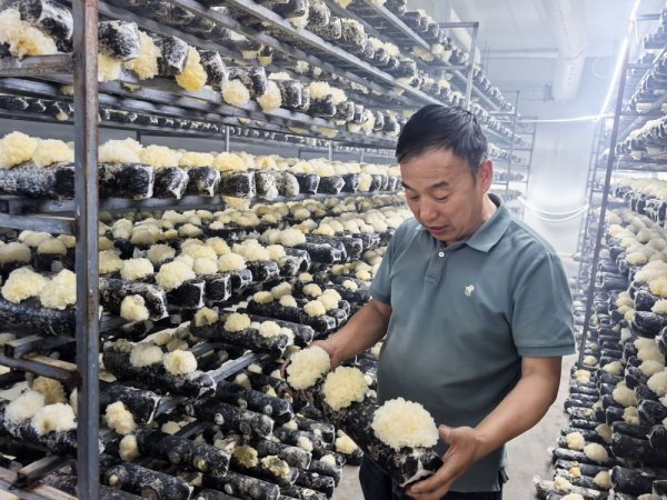 港股T+0配资 泰山天山根连根 鲁疆同心绘新篇——山东对口援疆助力喀什高质量发展纪实