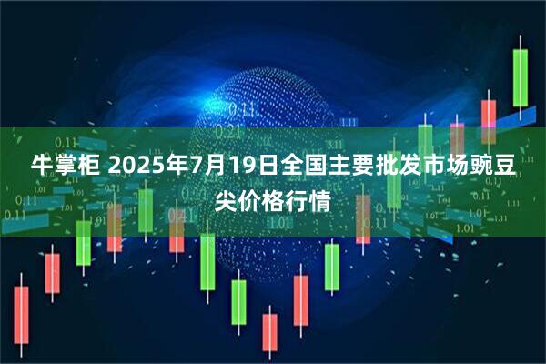 牛掌柜 2025年7月19日全国主要批发市场豌豆尖价格行情